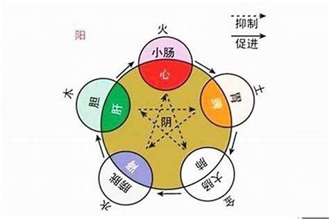 戊戌年五行|【六十甲子年】戊戌年五行属什么